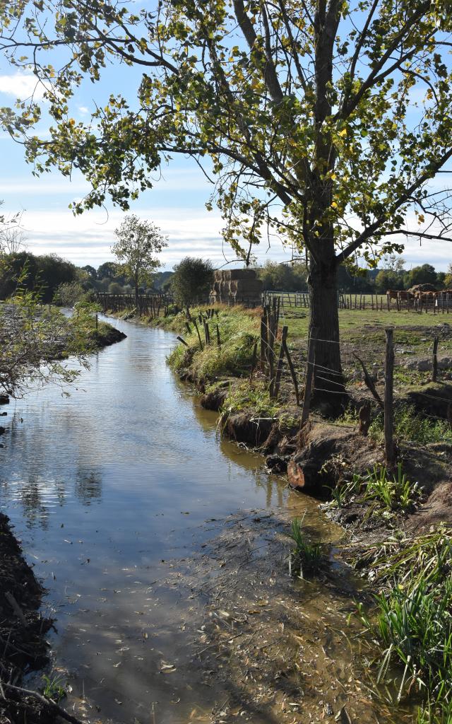 Marais de Gannedel