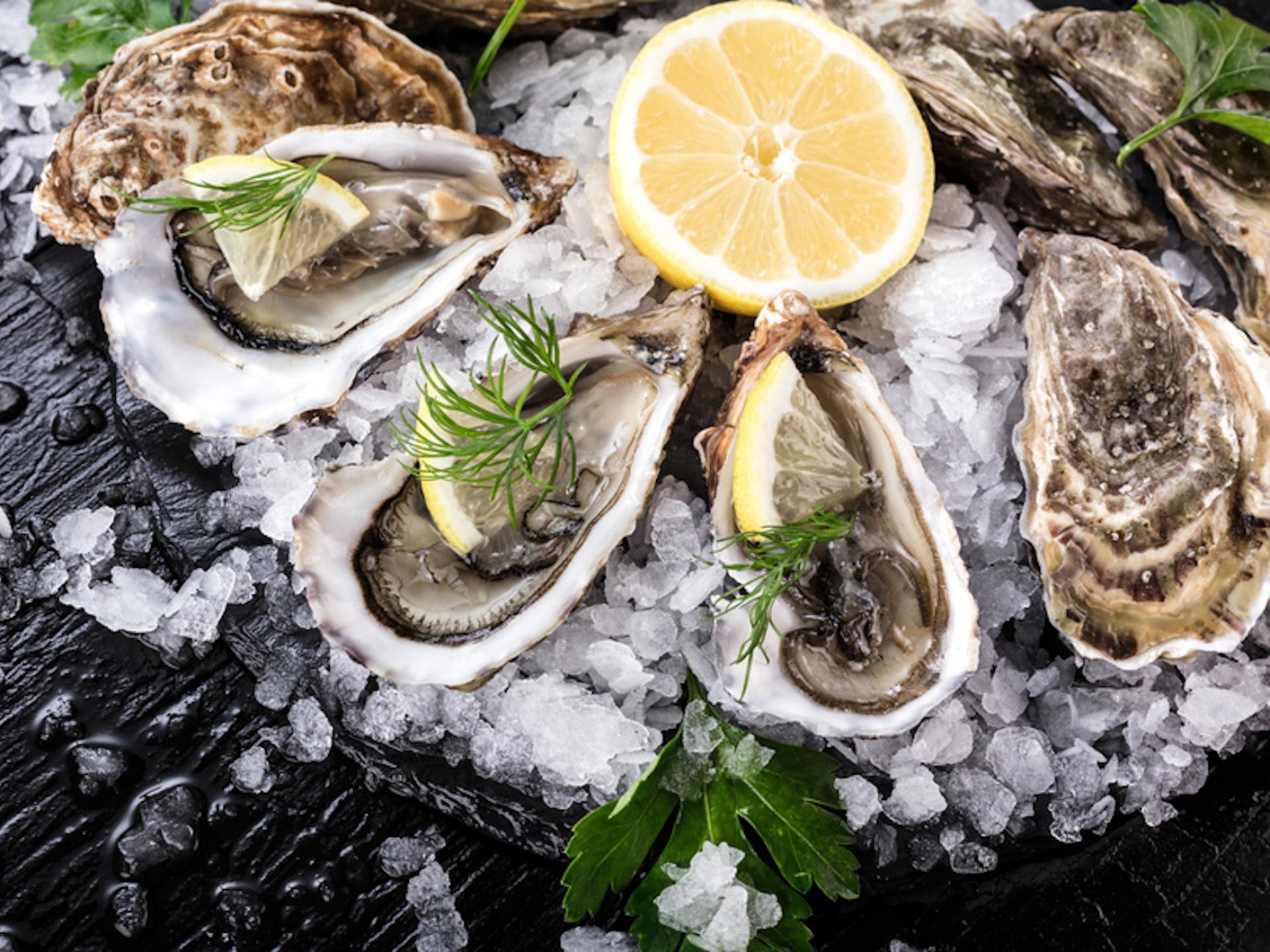 Oysters Brittany tourism
