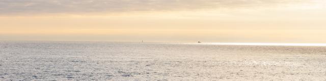 surfeurs-sur-la-plage-du-minou-eugenie-ragot.jpg