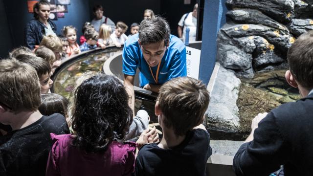 Animations Minilab Pavillon Bretagne - Océanopolis
