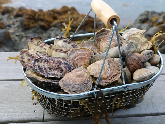 panier-du-jardin-marin-paimpol-soizic-arin.jpeg
