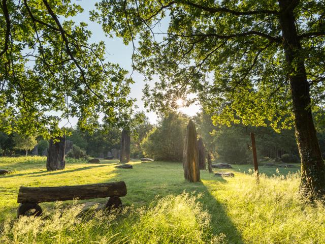 Monteneuf - Menhirs au lever du jour