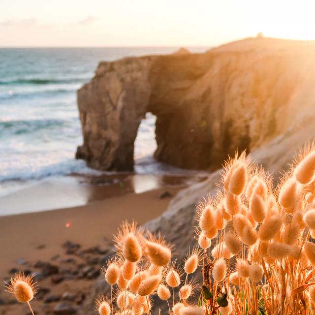 Quiberon - Arche de Port Blanc, la roche percée