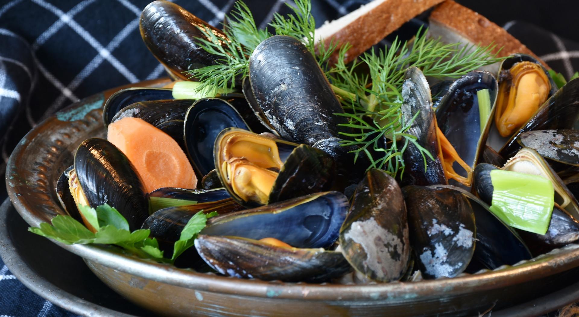 Les moules de bouchot Tourisme Bretagne