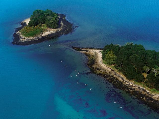 Kayak dans le Parc Naturel Régional du Golfe du Morbihan