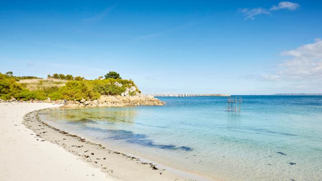 roscoff-plage-de-traon-erch-alexandre-lamoureux2.jpg
