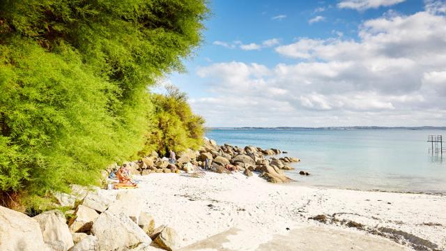 roscoff-plage-de-traon-erch-alexandre-lamoureux3.jpg