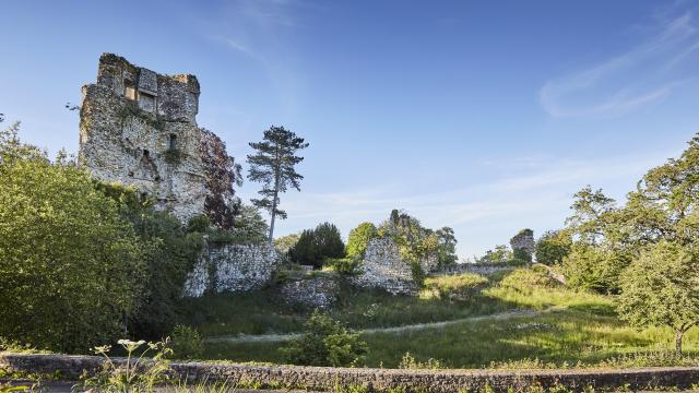 Saint-Aubin-du-Cormier - Les ruines du château