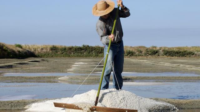 marais-salants-de-guerande-terre-de-sel-pascal-francois.jpg