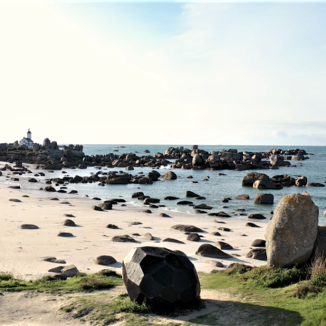 pointe-de-pontusval-loeuf-les-nouveaux-voisins.png