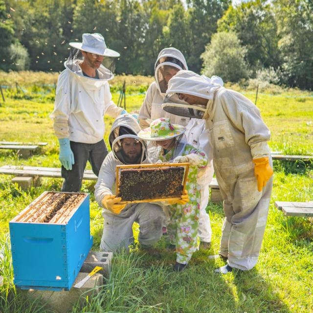 Apiculture - La Fontaine d'Airmeth - Ploërdut