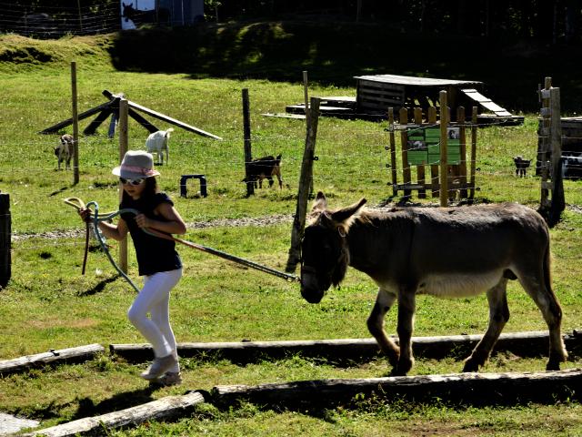 Ferme La Combe aux ânes - Lanvellec (22)