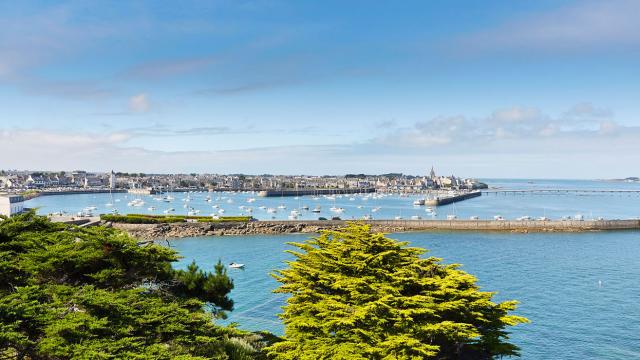 roscoff14-mg-7677-a-lamoureux.jpg