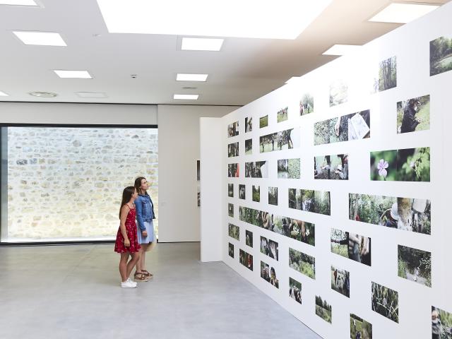 Centre D’art Gwin Zegal - Guingamp - exposition de photos