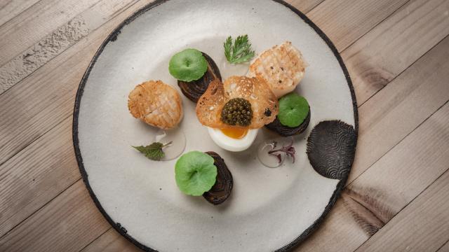 recette-st-jacques-poireau-caviar-miel-le-pochat-photographe.jpg