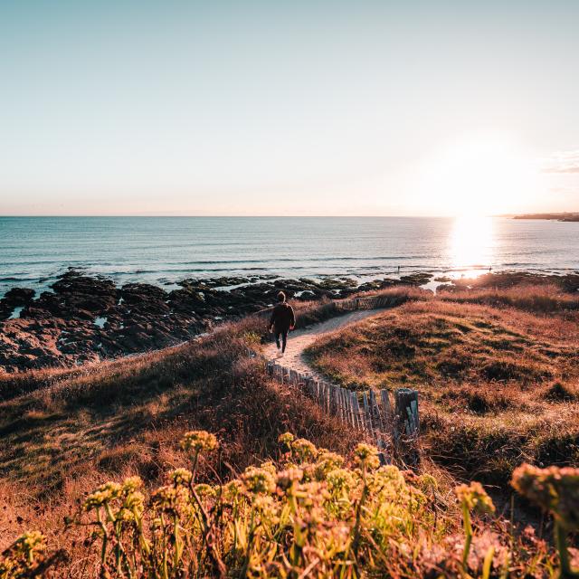 sentier-sur-la-cote-pays-de-lorient-teddy-verneuil.jpg
