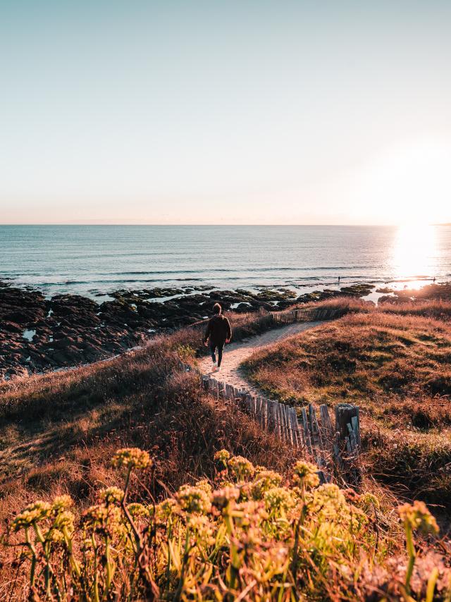 sentier-sur-la-cote-pays-de-lorient-teddy-verneuil.jpg