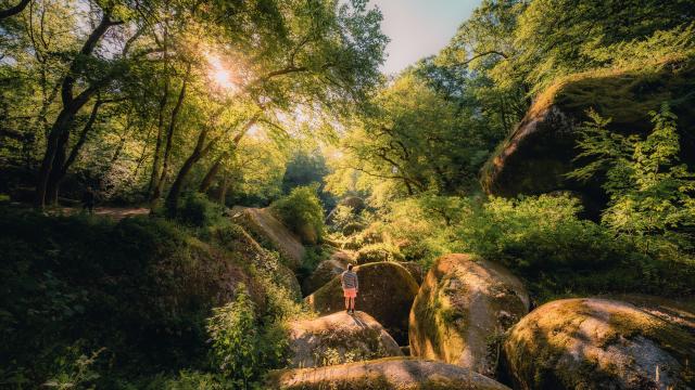 Forêt de Huelgoat