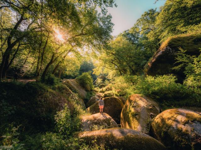 Forêt de Huelgoat