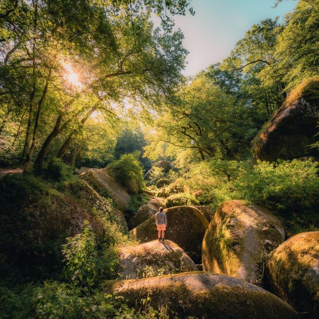 Forêt de Huelgoat