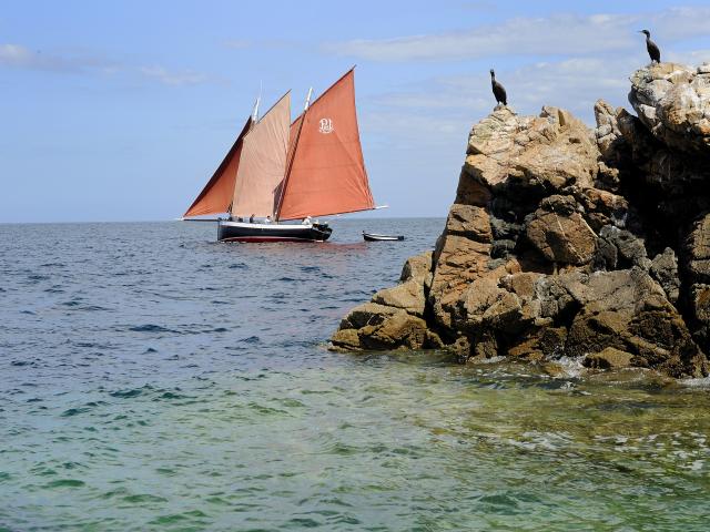 ar-jentilez-et-cormorans-ronan-gladu.jpg