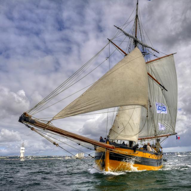 saint-malo-le-renard-crtb-ac3881-ronan-gladu.jpg
