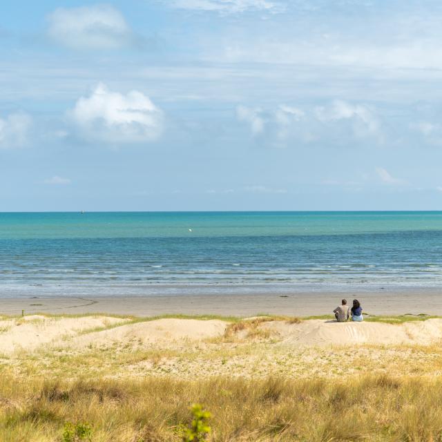 hillion-bon-abri--dunes-bsbpc-aa7136-emmanuel-berthier.jpg