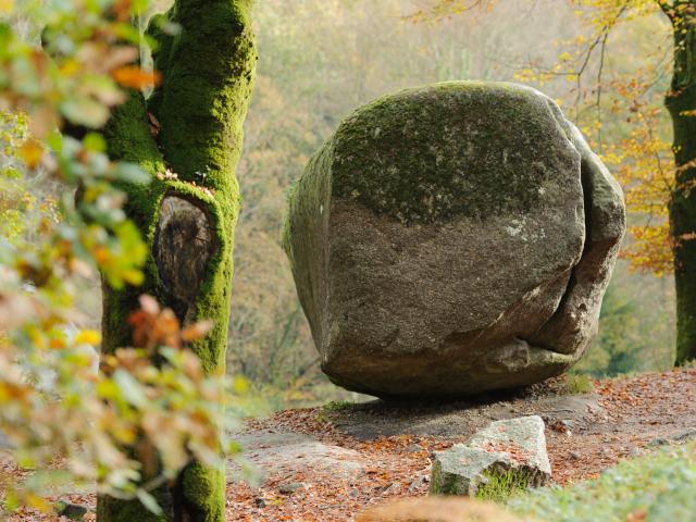 foret-dhuelgoat-roche-tremblante-emmanuel-berthier.jpg