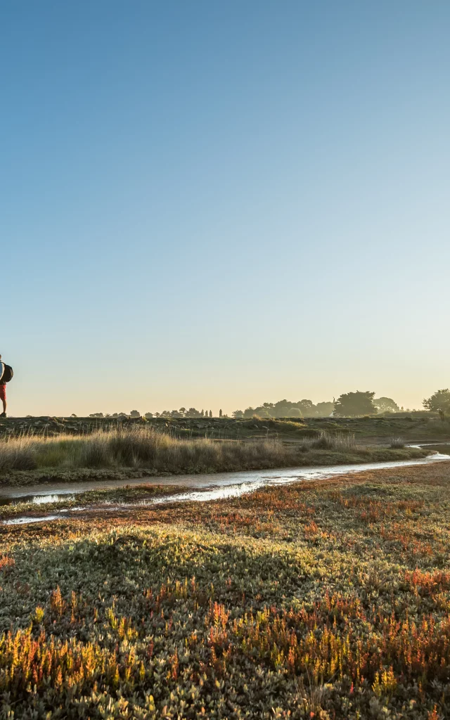 golfe-du-morbihan-ile-darz--randonnee-emmanuel-berthier.jpg