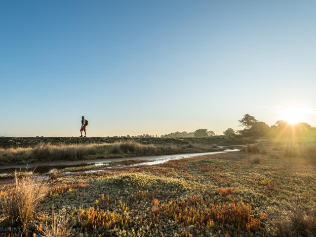 Golfe du Morbihan - Ile d'Arz - Randonnée