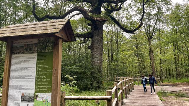 Brocéliande