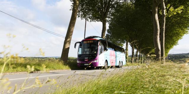 Ouibus sur une route de campagne