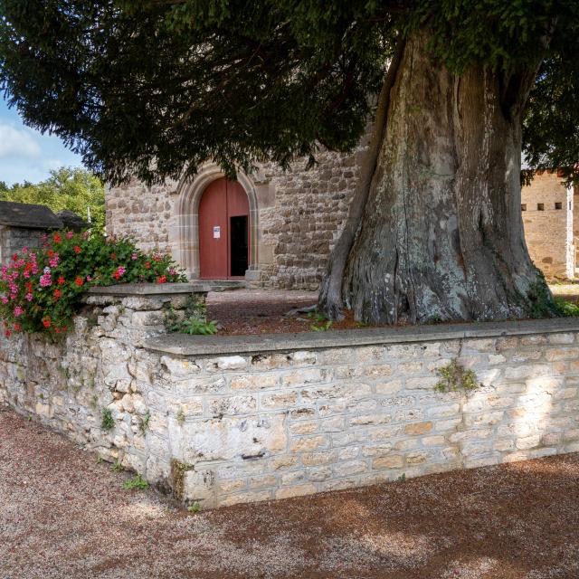 cprb-dsc03647-mrivrin.jpg