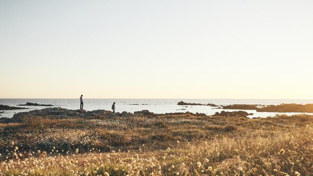 Presqu'île de Guérande - côte sauvage