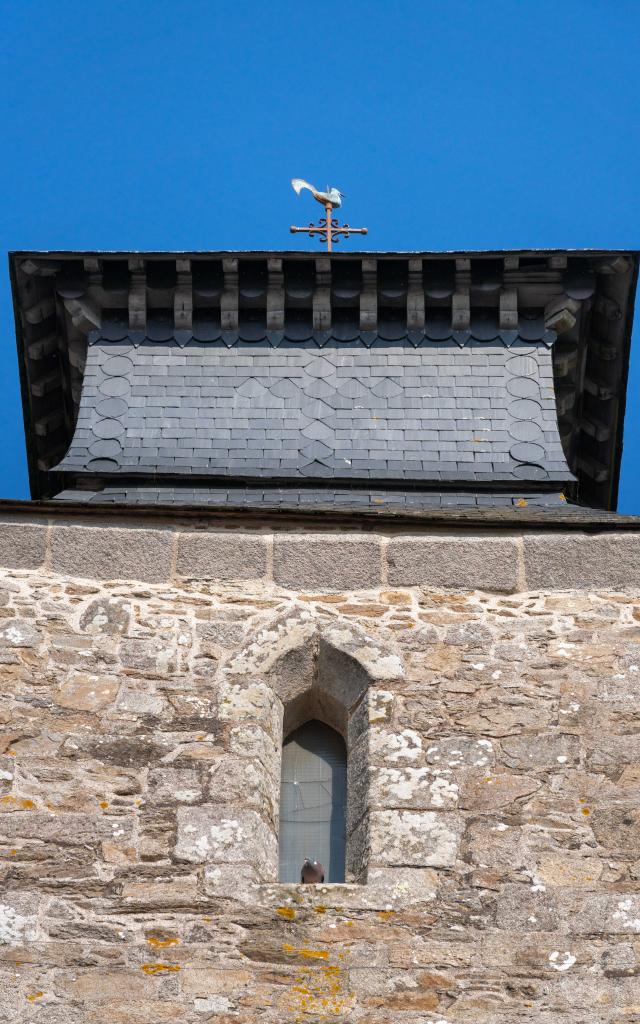 cprb-dsc08402-mrivrin.jpg