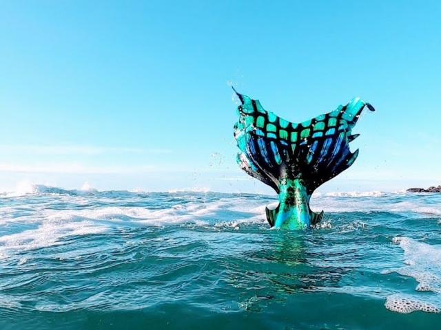 mermaiding-swim-with-me.jpg