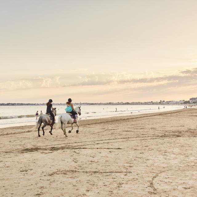 plage-de-la-baule-a-lamoureux-visionneuse.jpg