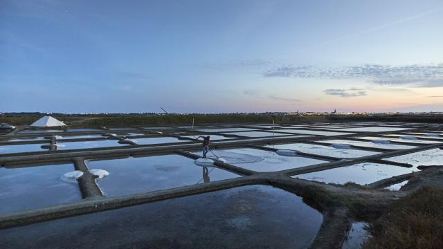 Guérande - Les Marais salants