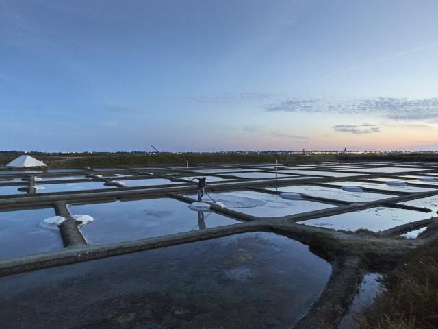 guerande-les-marais-salants-alexandre-lamoureux.jpg