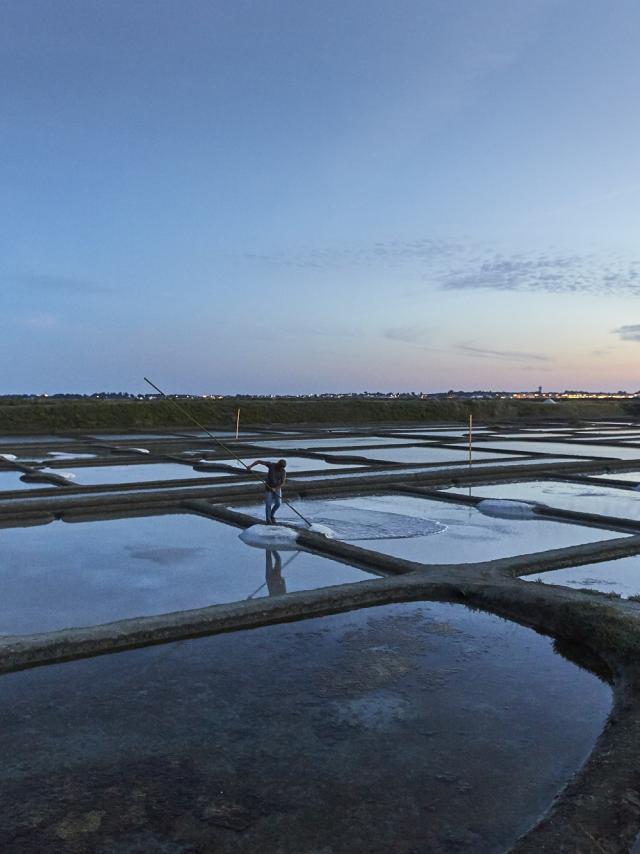 Guérande - Les Marais salants