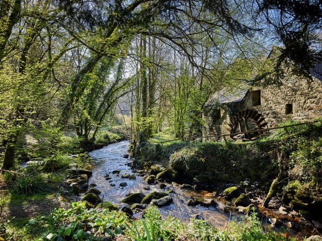 quintin--moulin-de-la-perche-a-lamoureux-galerie.jpg