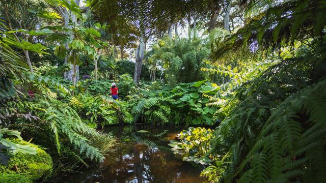 Batz - Jardin Delaselle