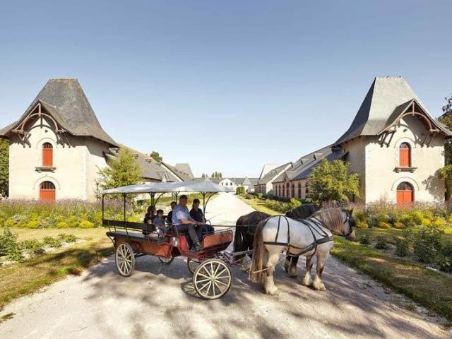 haras-de-lamballe-a-lamoureux-para3.jpg