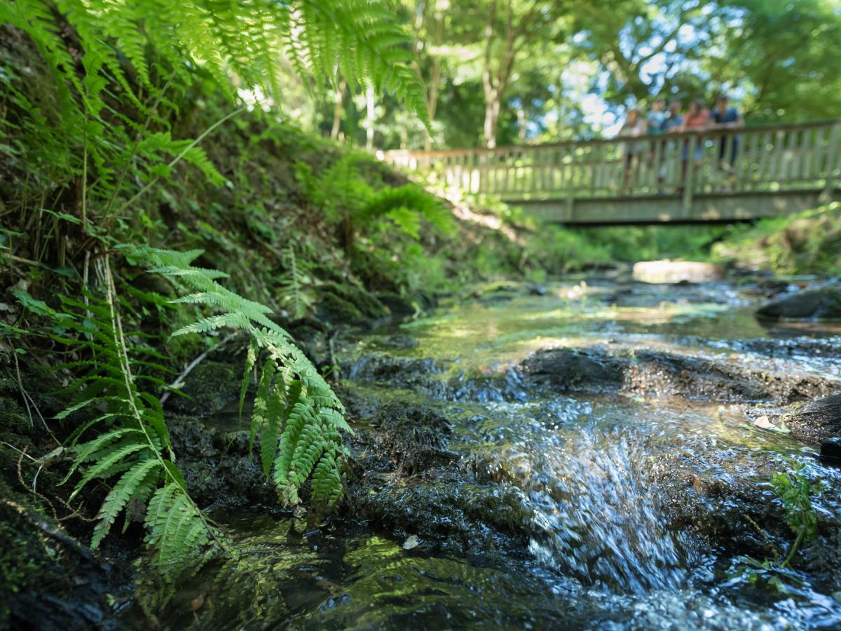 Josselin Tourisme Bretagne