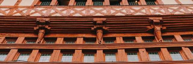 lamballe-noe-c--visioneuse.jpg