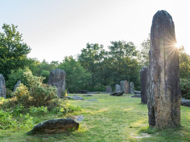 Menhir De Monteneuf