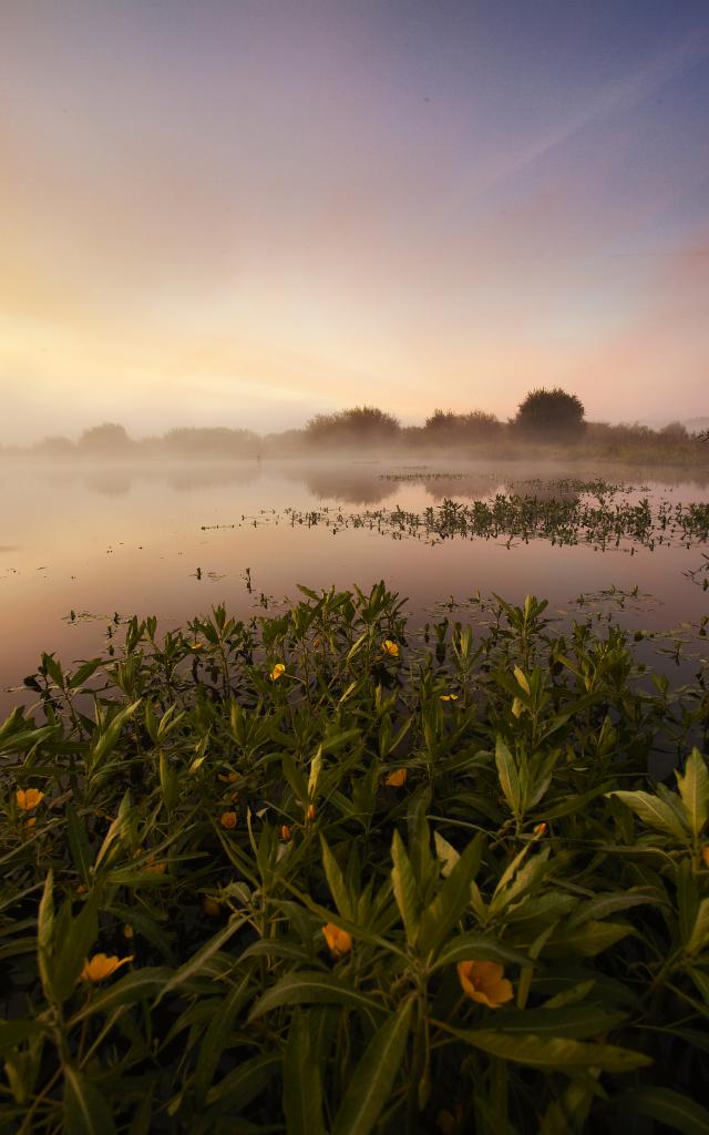 Site de l'Ile aux Pies sur la rivière de l'Oust, classé Grand Site Naturel, dans la brume au lever du soleil