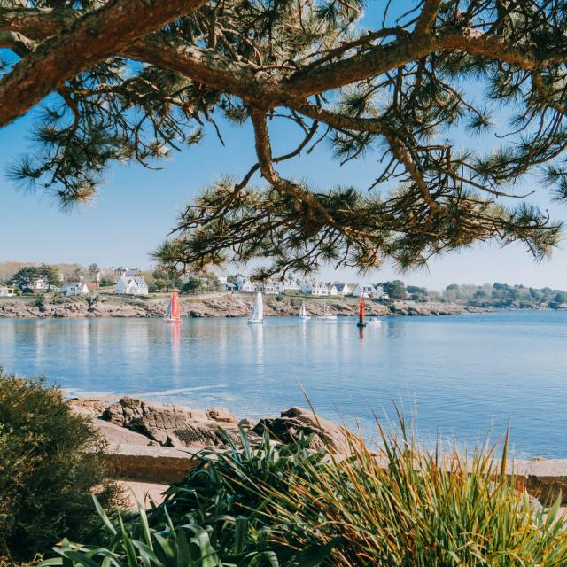 concarneau---noe-c---galerie-3.jpg