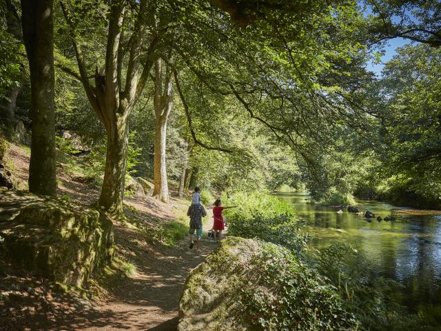 Pont Aven Bois D'amour