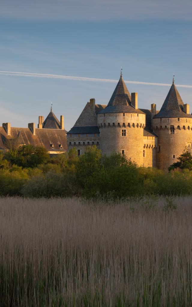 Sarzeau - Château de Suscinio